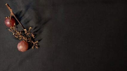 A close-up photo of a grapevine with ripe red grapes and dried leaves on a black background.