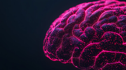 Close-up view of a vibrant pink brain against a dark background, showcasing intricate structure and details, representing human cognition and neural connections.