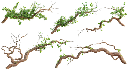 Twisted Jungle Branches With Vibrant Plants on a Bright Background Generative AI