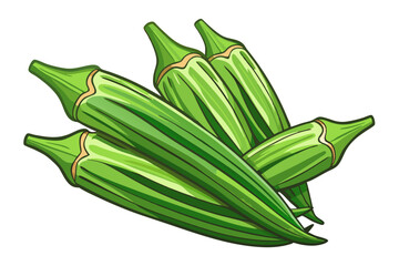  Beautiful ladies finger vegetable vector art illustration