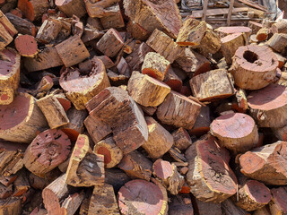 Pieces of tree trunks piled up