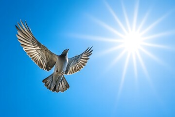 Obraz premium A bluebird soaring through a clear blue sky with its wings spread wide