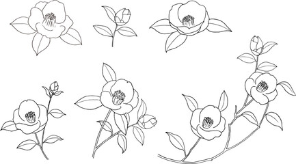 椿の線画ベクターイラストセット