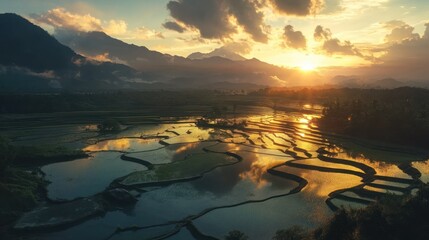 Golden sunset over a stunning terraced rice paddy field in a mountainous region, with reflections of the sun on the water.