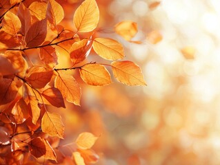 Fototapeta premium Autumn, fall leaves background. - ai
