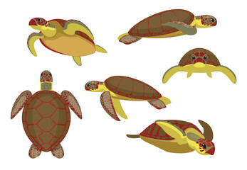 Sea Turtle Green Various Poses Vector Illustration