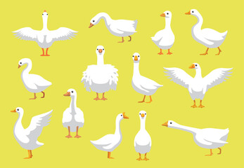 Goose White Cartoon Silly Various Poses Vector Illustration