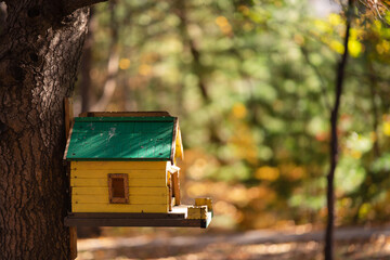 Yellow birdhouse on a spruce tree against the backdrop of an autumn forest.