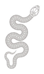 Obraz premium A simple cartoon snake pattern