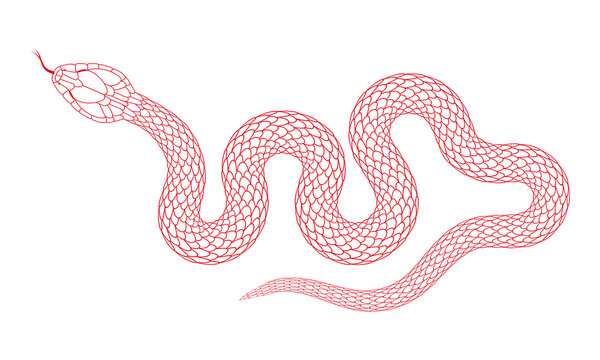 A simple cartoon snake pattern