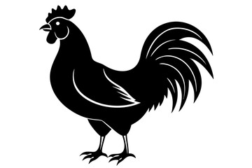 Rooster Silhouette, chicken silhouette vector
 



