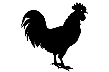 Rooster Silhouette, chicken silhouette vector
 



