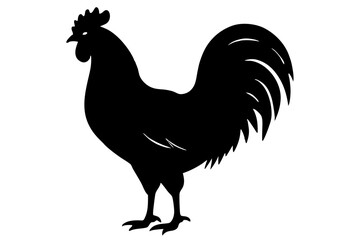 Rooster Silhouette, chicken silhouette vector
 



