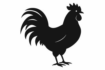 Rooster Silhouette, chicken silhouette vector
 



