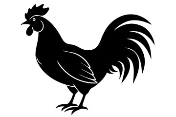 Rooster Silhouette, chicken silhouette vector
 



