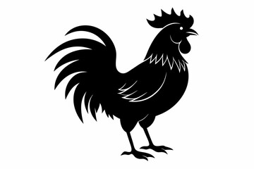 Rooster Silhouette, chicken silhouette vector
 



