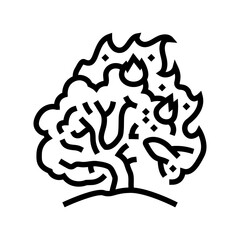 burning bush wildfire disaster line icon vector. burning bush wildfire disaster sign. isolated contour symbol black illustration