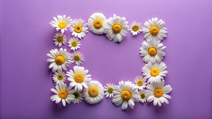 Fototapeta premium A delicate arrangement of daisies creates a simple floral frame, their white petals forming a soft border around a vibrant purple background.