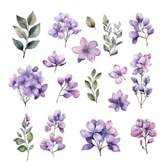 Set of Beautiful Purple Flower Watercolor Clipart