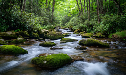 Obraz premium Spectacular Nature and Scenic Wonders: Golden Hour Sunsets, Lush Forests, Tranquil Beaches, and Vibrant Fields of Flowers in Stunning Views