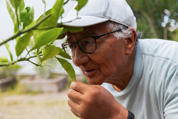 An older man looks at a leafy plant with his hands on his face. He wears a gray cap and glasses.