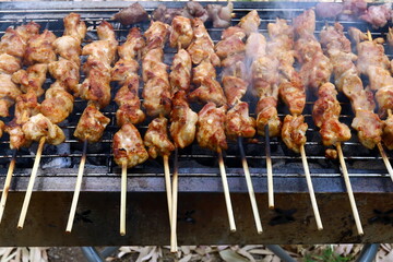 meat is fried on hot coals in a grill