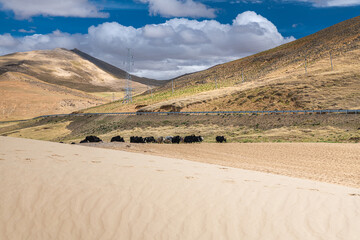 Sand dunes around lake Manasarovar is a high altitude freshwater lake in Tibet