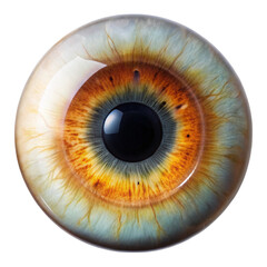 Realistic depiction of a human eye showing vibrant colors and textures of the iris and cornea.