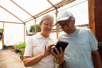 A man and a woman look at a cell phone together in an urban vegetable garden.