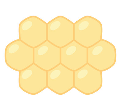 bees hive cells design
