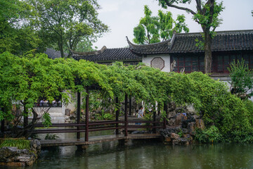 chinese garden in the garden