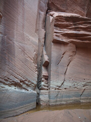 Eroded Buckskin Gulch canyon red rock sandstone walls, mud water in puddle on canyon bed after the...