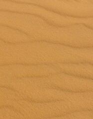 砂地、砂漠、ビーチ、砂の背景