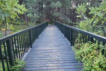 Obraz premium A Beautiful Wooden Bridge is Surrounded by Lush Greenery in a Serene and Peaceful Forest