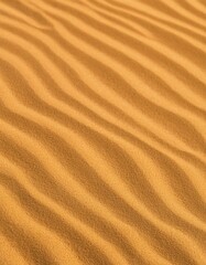 砂地、砂漠、ビーチ、砂の背景