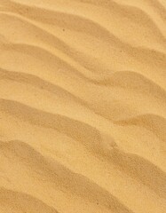 砂地、砂漠、ビーチ、砂の背景