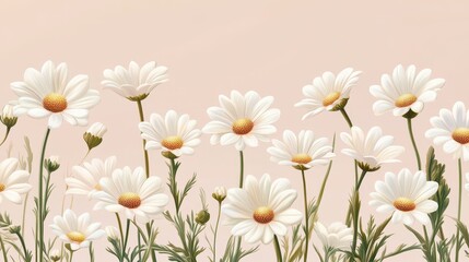 Beautiful Field of White Daisies in Bloom Against a Soft Pastel Background Capturing the Essence of Spring and Nature's Tranquility