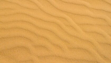 砂地、砂漠、ビーチ、砂の背景