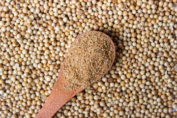 Coriander Powder on wooden spoon with a coriander seeds background. Food Ingredients
