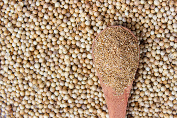 Coriander Powder on wooden spoon with a coriander seeds background. Food Ingredients