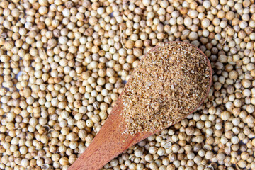 Coriander Powder on wooden spoon with a coriander seeds background. Food Ingredients