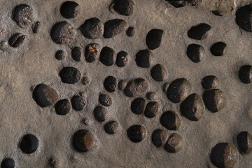 stone-texture-background, texture of porous stones on the beach, nature, natural phenomena, brown-gray stones, stones with wholes