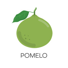 Pomelo fruit with leaf icon isolated on white background. Vector illustration.