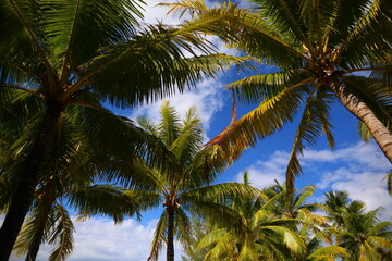 Bora Bora, French Polynesia, a holiday paradise