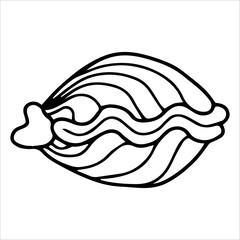 Illustration  Shell Line Art Coloring Page