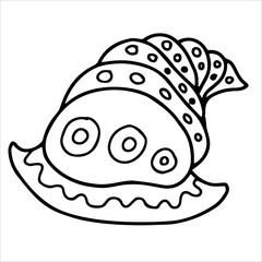 Illustration  Shell Line Art Coloring Page