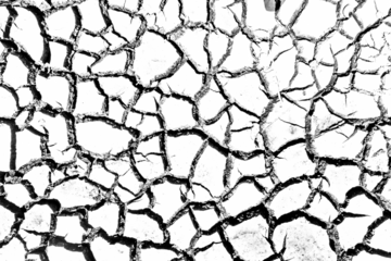 black and white cracked soil texture background