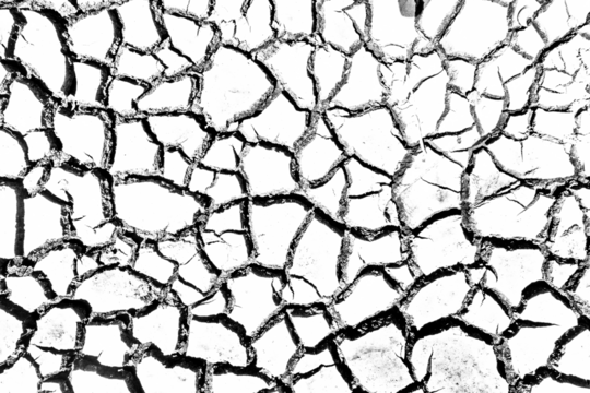 black and white cracked soil texture background