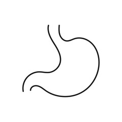 Stomach line icon. Flat design vector.