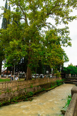 Picturesque park with palm trees and cypresses